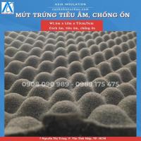Mút trứng tiêu âm, khuếch âm cho phòng thu